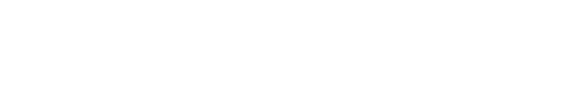 Customer Logo