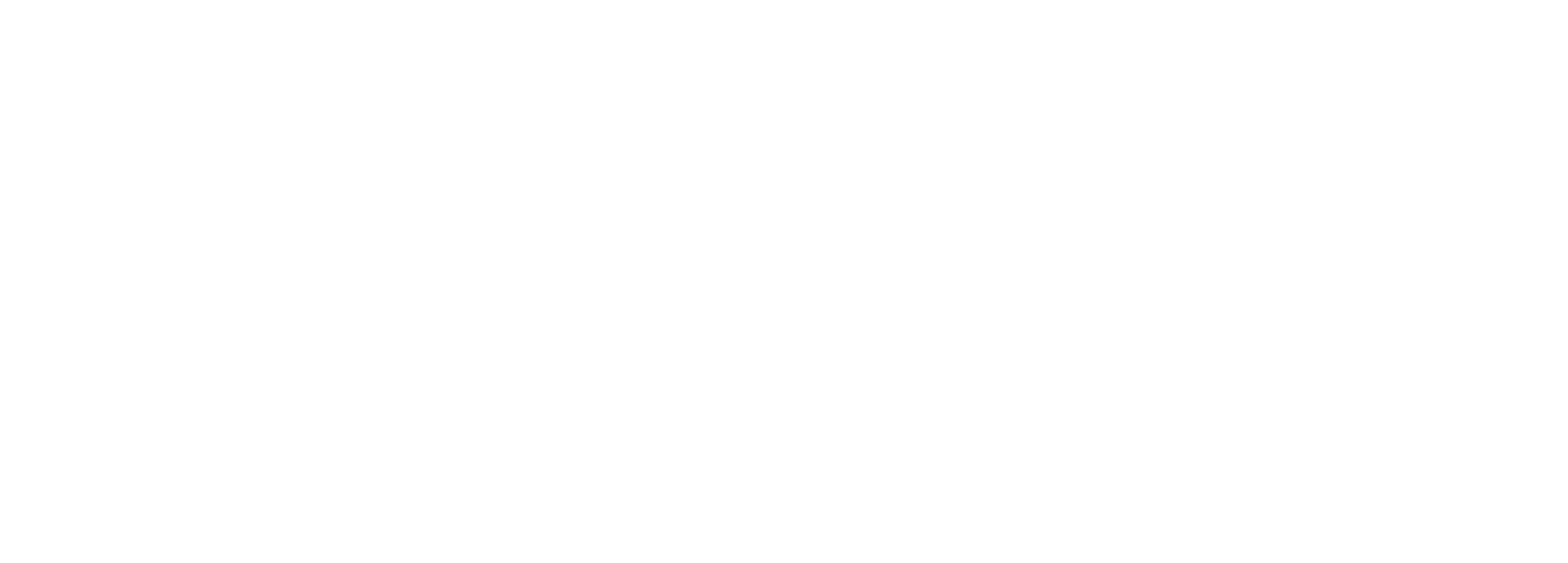 Customer Logo